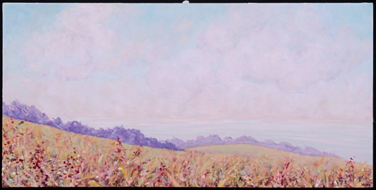 Maeve Croghan's Clouds at Spring Ranch