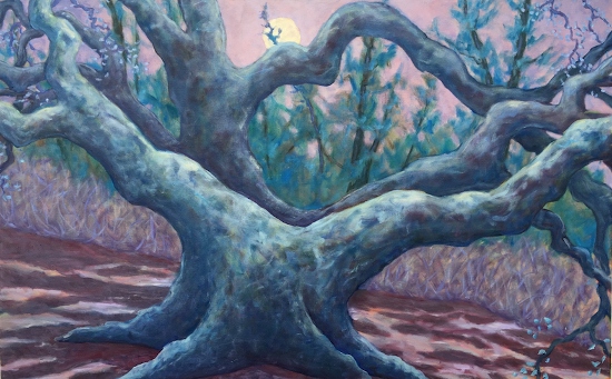 Maeve Croghan's Moon Oak