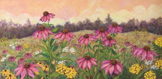 Maeve Croghan's Coneflower & Tansy Field