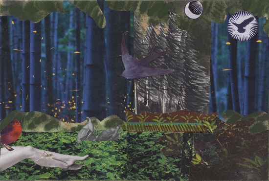 Lorraine Capparell's Sleeping in the Forest