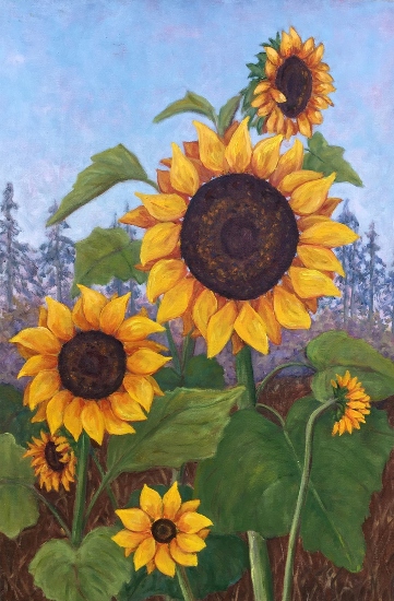 Maeve Croghan's Sunflower Joy