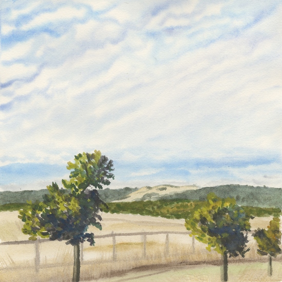 Lorraine Capparell's Dry Hills