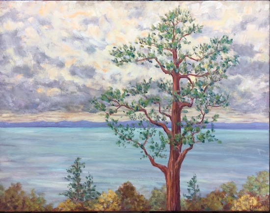 Maeve Croghan's Bluff Stormy Pine