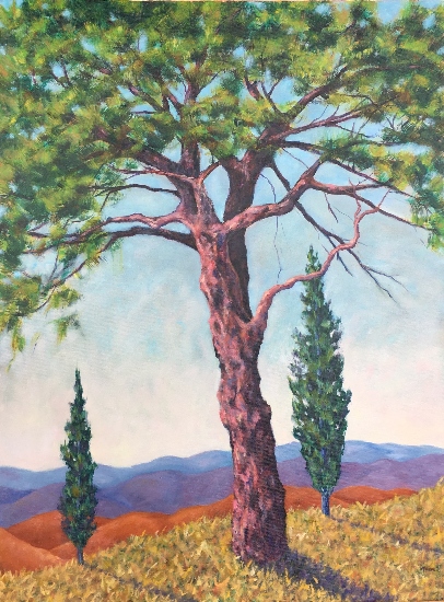 Maeve Croghan's Abbadia's Pine