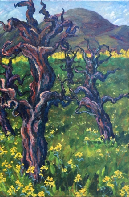 Maeve Croghan's Calistoga Old Vine Spring