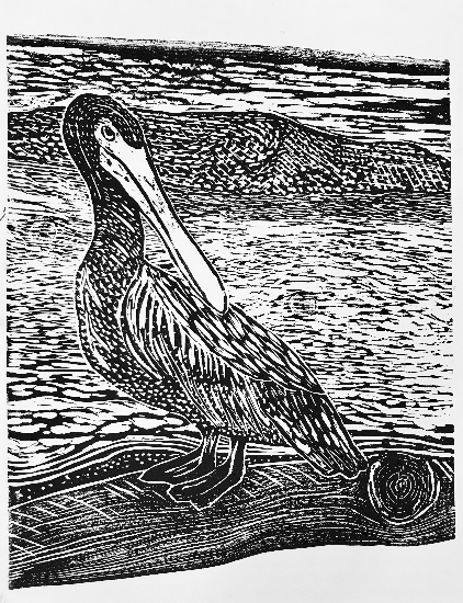 The Pelican Poem