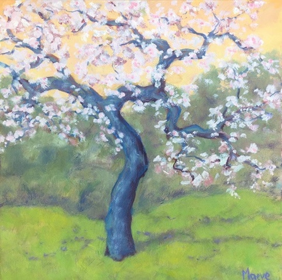 Maeve Croghan's Yellow Sky Spring Cherry