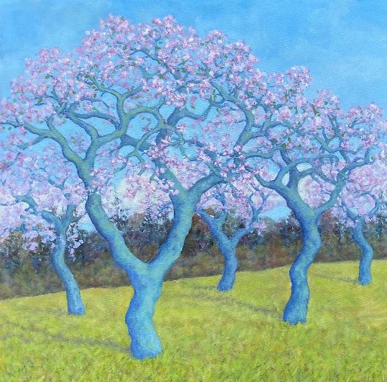 Maeve Croghan's Cherry Blossom Orchard