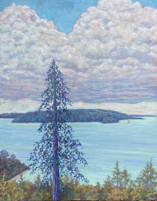 Maeve Croghan's Bluff Old Spruce