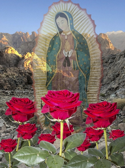 Roses-The sign to Juan Diego-Lady of Guadalupe©