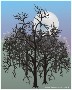 John Sweeney's Trees & Moon