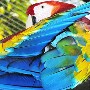 Suzan Siltaniemi's Macaw Series: Psyche