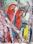 derek mccrea's 3 parrots bird wildlife nature painting