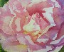 Becky Baer's Rose #4