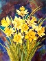 Astrid Rusquellas's Daffodils from Bibi