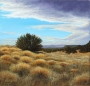 Kenneth DeVilbiss's High Desert Valley