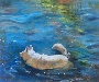 Elizabeth Ennis's White Husky Swimming