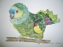 Nami O'Donnell's Blue fronted amazon parrot