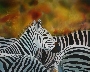 Natasha Foucault's Zebras