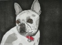 Marti McKee's Lucie - French Bull Dog