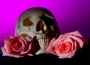 Abbe Gore's Skull & Roses