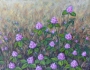 Maeve Croghan's Island Clover Patch