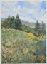 George Ehrenhaft's April on Acalanes Ridge