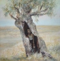 Alexander Novikov's Old Tree