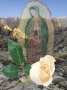Mariella Zevallos's The White Rose-Lady of Guadalupe©