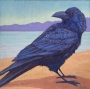 Maeve Croghan's Raven Friend