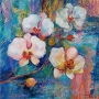 Tiana Pote's Hawaii Orchids